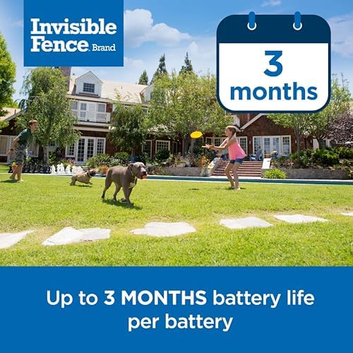 Invisible Fence Power Cap Battery (1 Pack) Electric Fence Battery Replacement Original IFB Product, Electric Collar for Dogs
