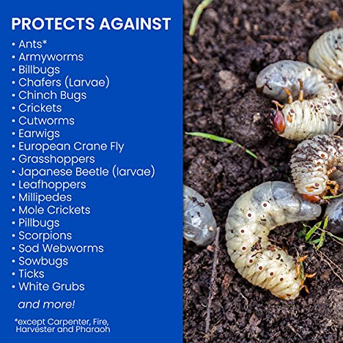 BioAdvanced 24-Hour Grub Plus for Lawns Ant, Tick, and Insect Killer, 10-Pounds, Ready-to-Spread Granules, Standup Bag