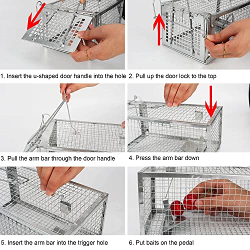 2-Pack Humane Rat Traps, Live Mouse Rat Cage Traps Catch and Release for Indoor Outdoor, Small Animals Traps, Easy to use,(10.6"x 5.5"x 4.5")