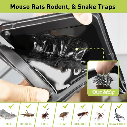 Pelrayt Rat & Mouse Traps 12-Pack - for House Indoor Outdoor, Pre-Baited Heavy Duty Non-Toxic Bulk Glue Boards，Easy to Set, Snake, Mice, Spider Pet Safe Pest Control