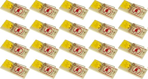 Wooden Snap Mouse Trap Spring Action with Expanded Cheese Shaped Trigger 20 Pack