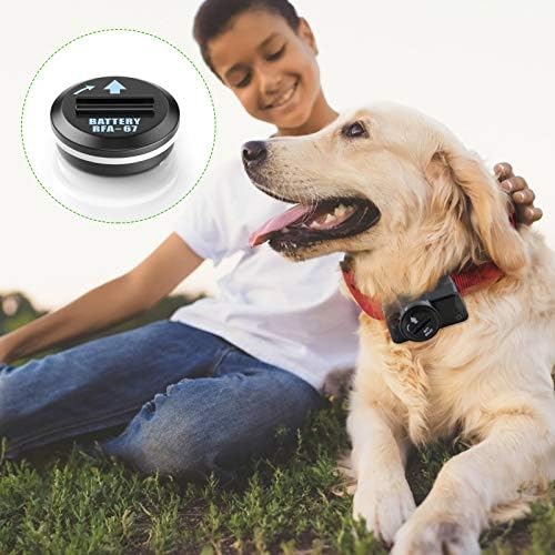 EBL RFA-67 6 Volt Pet Collar Replacement Batteries 10 Pack, Compatible with RFA-67D-11 PetSafe 6V Lithium Battery Specific Dog Receiver Collars