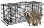 VASALAID Live Animal Trap Cage, 32" X 12" X 12.5" Catch and Release, Humane Live Trap Cage Indoor & Outdoor Foldable Live Trap for Raccoons,Groundhogs, Stray Cats,Squirrels, Rabbits, woodchucks