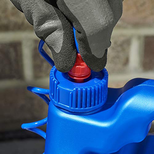 BioAdvanced Home Pest Germ Killer Indoor & Outdoor Insect Killer, Ready-to-Use, 1 Gal