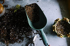 Autoflower Living Soil Concentrate for Super Soil