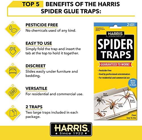 Harris Spider Glue Traps, Pesticide Free (2-Pack), Kills Brown Recluse, Hobo Spider, Black Widow and More