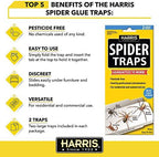 Harris Spider Glue Traps, Pesticide Free (2-Pack), Kills Brown Recluse, Hobo Spider, Black Widow and More