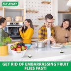 Fly Away - Indoor Fruit Fly Trap Kit. Reusable & Refillable Traps (3), Trap Flies for Over 90 Days with Liquid Bait Lure, Stylish Design - Perfect for Home Kitchens, Bars, Restaurants, and Wineries.