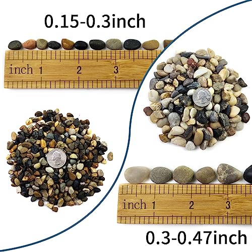 SHIZWU 10LB Aquarium Gravel, 1/4" Pea Gravel for Fish Tank, Small River Rocks for Garden Decoration, Landscaping, Vase Filling, Flower Pot Paving