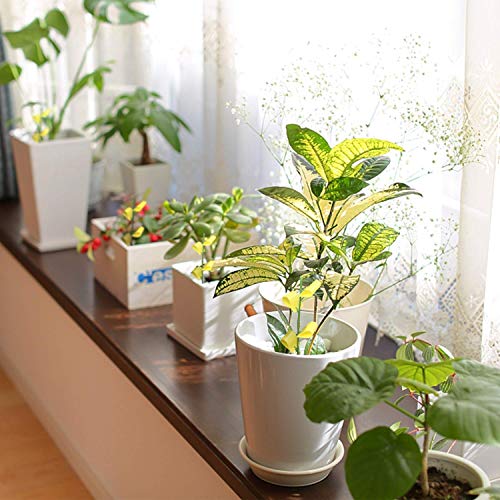 Garsum 84 Traps Sticky Houseplant Traps Gnat Yellow Insect Trap Indoor Fruit Fly Stakes Trap