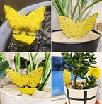 Stingmon 60 Pack Fruit Fly Trap, Fungus Gnat Trap Killer Protect Plants Indoor Outdoor, Double Sided Yellow Bug Sticky Traps for Fungus Gnat, Fruit Fly and Other Insects