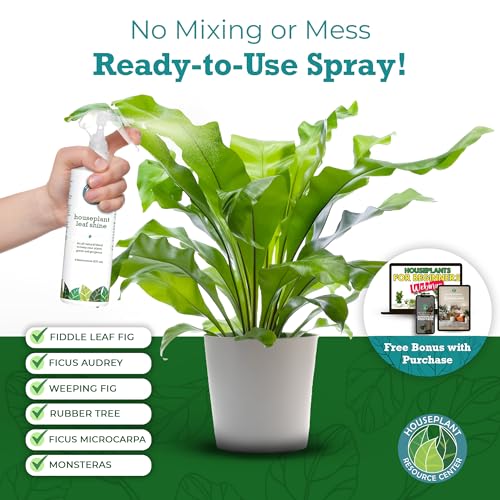 Houseplant Leaf Shine Spray - Leaf Polish, Gloss, and Shine, Perfect for House Plants and Foliage