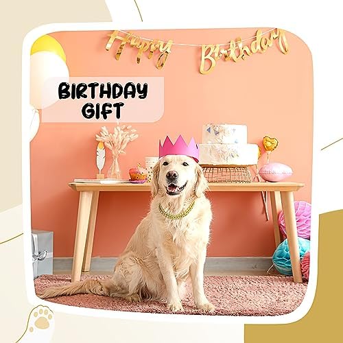 LEIFIDE Dog Chain Collar Diamond Link Dog Collar 12 mm Wide Dog Necklace Metal Cat Chain Pet Crystal Collar Jewelry Accessories for Small Medium Large Dogs Cats (Gold, AB Color, 12 Inch)