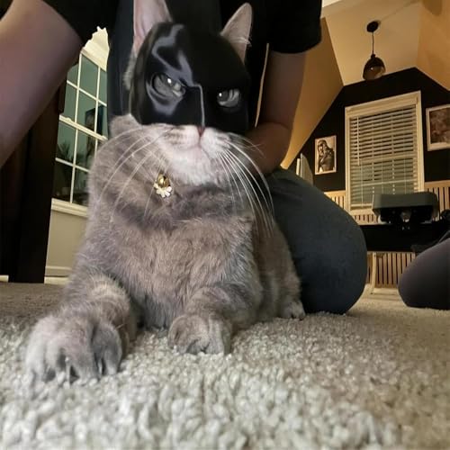 Cat Bat Mask, Cat Bat Cosplay Hat, Funny Cat Costumes Accessories (Small)