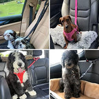 BWOGUE Pet Dog Cat Seat Belts, Car Headrest Restraint Adjustable Safety Leads Vehicle Seatbelt Harness (1 Pack)