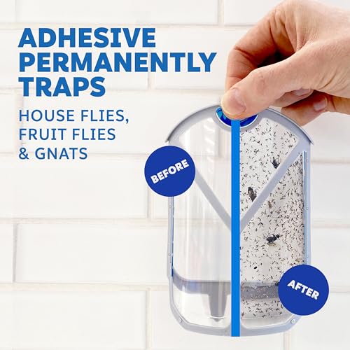 Zevo Flying Insect Trap, Fly Trap Refill Cartridges (4 Total Refill Cartridges)