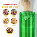 Utopia Home Humane Mouse Traps Indoor for Home (Pack of 4) - Green Reusable Mice Traps for House Indoor - Pet Safe Mouse Trap Easy to Set, Quick, Effective, & Safe Rodent Trap