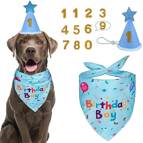 Dog Birthday Party Supplies, Dog Birthday Bandana Set, Dog Boy Girl Birthday Party Hat with Numbers for Large Medium Small Dogs Pet (Blue)