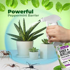 Mighty Mint - 16oz Spider Repellent Peppermint Oil - Natural Spray for Spiders and Insects - Killer + Deterrent