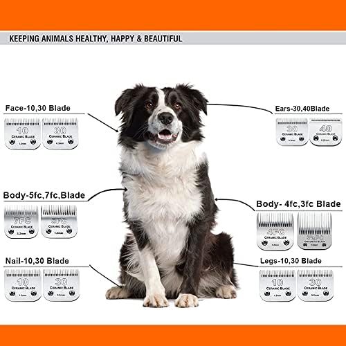 3 Pack 10 Blade Dog Grooming Replacement Blades Compatible with Andis Clippers/Oster A5/Wahl KM,Detachable Ceramic Blade & Stainless Steel Blade,Size-10, 1/16-Inch Cut Length (64315)