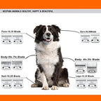 3 Pack 10 Blade Dog Grooming Replacement Blades Compatible with Andis Clippers/Oster A5/Wahl KM,Detachable Ceramic Blade & Stainless Steel Blade,Size-10, 1/16-Inch Cut Length (64315)