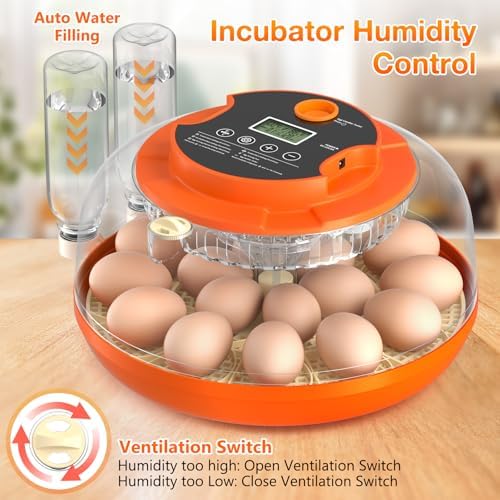 18 Egg Incubator with Automatic Egg Turning and Humidity Control, 360° View Incubators for Hatching Eggs, Incubator for Chicken Eggs, Ducks, Goose, Pigeon, Quail, Parrot Eggs (Orange)