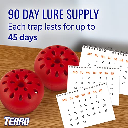 TERRO Indoor Fruit Fly Trap (2-count) | Terro Traps In – Built With Window Sinks