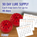 TERRO Indoor Fruit Fly Trap (2-count) | Terro Traps In – Built With Window Sinks
