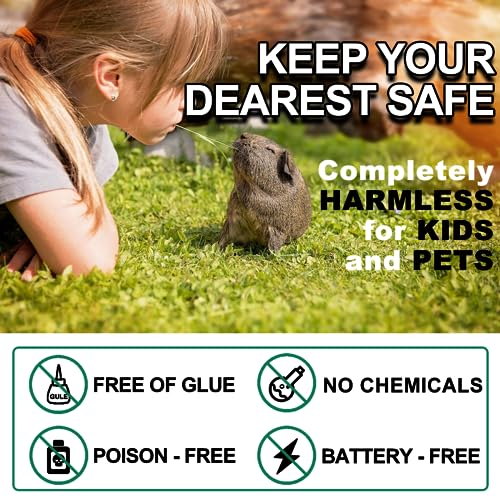 Large Rat Traps, Excellent Traps for Gophers, Mouse Traps Indoor Outdoor, Snap Traps That Work, Quick Effective Sanitary Safe, Snap Trap for Trapping Against Mouse, Chipmunk