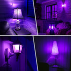 KQHBEN Orange Purple Light Bulbs - [ 4 Pack ]- 9W（60W Equivalent） E26 Base LED Halloween Light Bulb for Festivals Party Halloween Christmas Bar Events Home Decor