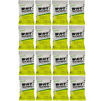 RESCUE! Non-Toxic Wasp, Hornet, Yellowjacket Trap (WHY Trap) Attractant Refill - 2 Week Refill - 16 Pack
