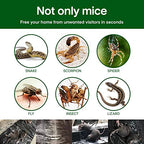 ELEGENZO Sticky Mouse Trap Mouse Traps Indoor for Home Rat Traps That Work for Trapping Snakes Rats Spiders Roaches & Other Rodents，3 transparent
