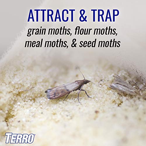 TERRO T2900 (Pack of 2) Pantry Moth Traps - Traps grain moths, flour moths, meal moths, and seed moths, (Packaging May Vary)
