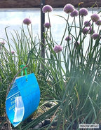 Blue Sticky Trap Thrips Leafminer Trap 15 Pack