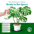 Leaf Armor by Houseplant Resource Center | Natural Indoor Plant Leaf Shine Spray for Fiddle Leaf Fig, Ficus Audrey, Monstera and Other houseplants (8 Fluid Ounces)
