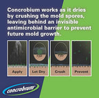 Concrobium 25326CAL Mold Control Spray, 32 oz.