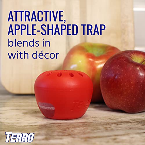 TERRO Indoor Fruit Fly Trap (2-count) | Terro Traps In – Built With Window Sinks