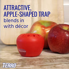 TERRO Indoor Fruit Fly Trap (2-count) | Terro Traps In – Built With Window Sinks
