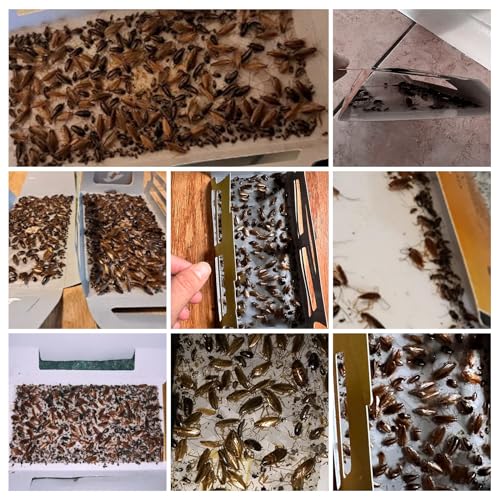 USKICH Cockroach Traps Indoor Home, Glue Roach Traps, Child & Pets Safe(20 Pack Roach Traps)