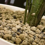 GROW!T GMC10L - 4mm-16mm Clay Pebbles, Brown, (10 Liter Bag) - Made from 100% Natural Clay, Can be used for Drainage, Decoration, Aquaponics, Hydroponics and Other Gardening Essentials
