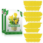 72 Pcs Sticky Traps for Fruit Fly, Whitefly, Fungus Gnat, Mosquito and Bug, Yellow Sticky Insect Catcher Traps for Indoor/Outdoor/Kitchen, Extremely Sticky Fly Trap, Non-Toxic