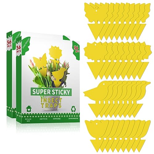 72 Pcs Sticky Traps for Fruit Fly, Whitefly, Fungus Gnat, Mosquito and Bug, Yellow Sticky Insect Catcher Traps for Indoor/Outdoor/Kitchen, Extremely Sticky Fly Trap, Non-Toxic