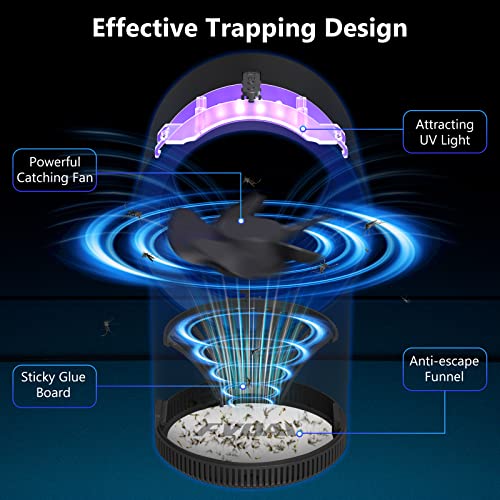 FVOAI Fly Trap Indoor for Home, H3 Fruit Fly Traps for Indoors Insect Trap with Suction, Time Setting, Bug Light & 10 Pcs Sticky Glue Boards (Blue)