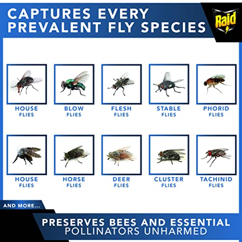 6 XL RAID Big Bag Fly Traps Outdoor - Keep Flies Away from Patio with Disposable Fly Traps Outdoor Hanging - Fly Bags Outdoor Disposable, Outdoor Fly Traps Outdoor Hanging, Big Bag Fly Trap Bag