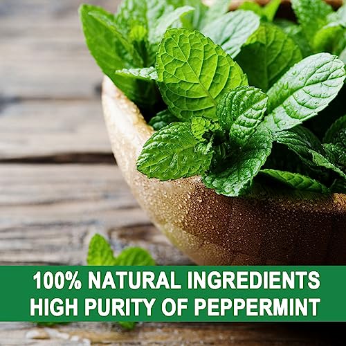 SUAVEC Squirrel Repellent, Chipmunk Repellent Outdoor, Squirrels Repellent for Garden, Squirrel Deterrent Mint, Outdoor Repellent Squirrels for Attic, Keep Squirrel Away for Plant-8 Pack