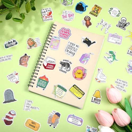 400 Pcs Funny Stickers for Adults Funny Waterproof Water Bottles Stickers Pack for Laptop, Bumper, Phone, Hard Hats, Wall, Window Decals Decors, 50 Styles
