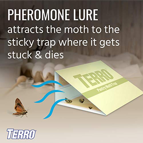 TERRO T2900 (Pack of 2) Pantry Moth Traps - Traps grain moths, flour moths, meal moths, and seed moths, (Packaging May Vary)