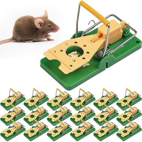Qualirey 24 Pcs Mouse Traps Green Plastic Mice Trap Rat Traps House with Yellow Cheese Color Board Quick Sensitive Effective Mouse Trap Safe Reusable Sanitary Mice Traps for House, Garage, Outside