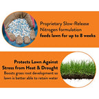 GreenView Weed & Feed - 13 lb. - Covers 5,000 sq. ft.