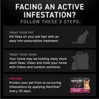 NEXTSTAR Flea and Tick Prevention for Cats, Repellent, and Control, Fast Acting Waterproof Topical Drops for Cats Over 3.5 lbs, 3 Month Dose